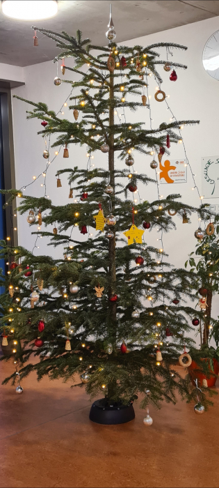 wuenschebaum[1].jpg